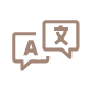 Lang_icon